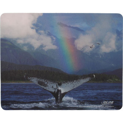 InLine® Maus-Pad Recycled Foto, Whale, 240x190x3mm