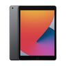 Apple iPad (8. Gen, 2020)
