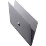 Apple MacBook Retina 12" - Mid 2017 - A1534 - Space Grau - Stärkere Gebrauchsspuren