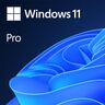 Windows 11 Pro - 64-Bit DVD OEM Vollversion (DE)