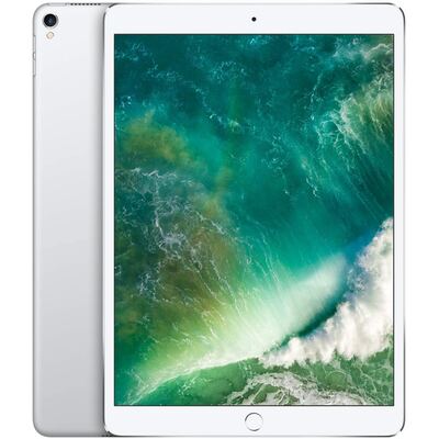 Apple iPad Pro - 1. Generation  (2017) - 256 GB - Wi-Fi + Cellular - Silber - Normale Gebrauchsspuren