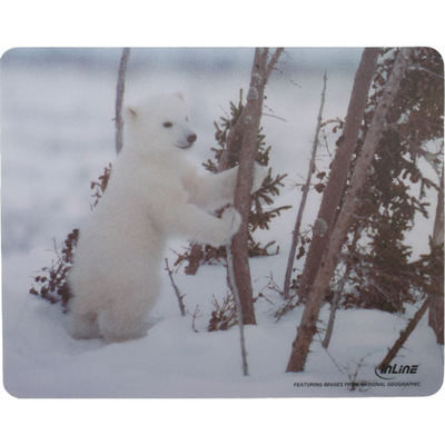 InLine® Maus-Pad Recycled Foto, Icebear, 240x190x3mm
